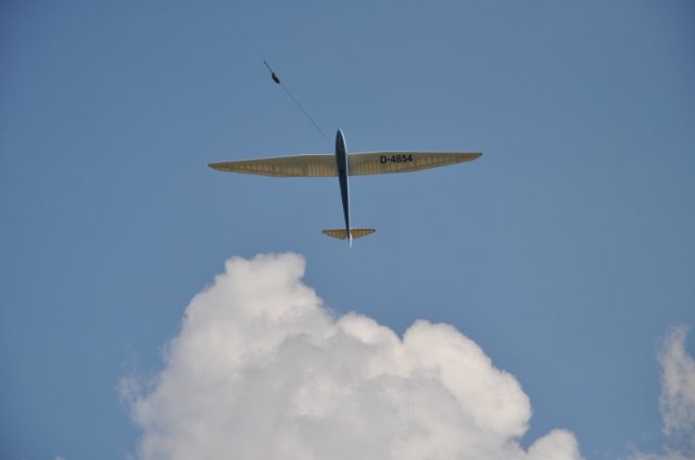 DSC_5221 (800x531)